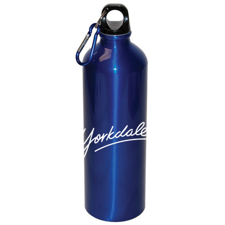 750 Ml (25 Fl. Oz.) Aluminum Water Bottle With Carabiner