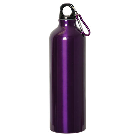 750 Ml (25 Fl. Oz.) Aluminum Water Bottle With Carabiner