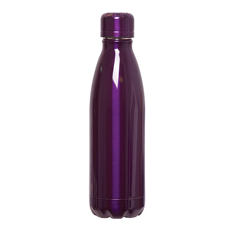 Rockit Shine 500 Ml. (17 Fl. Oz.) Stainless Steel Bottle