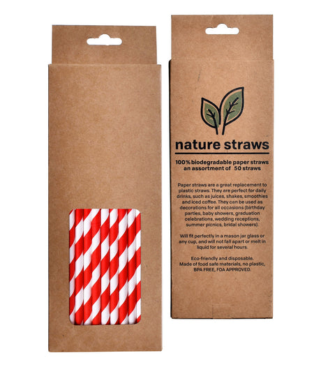 Craft Gift Box Paper Straws