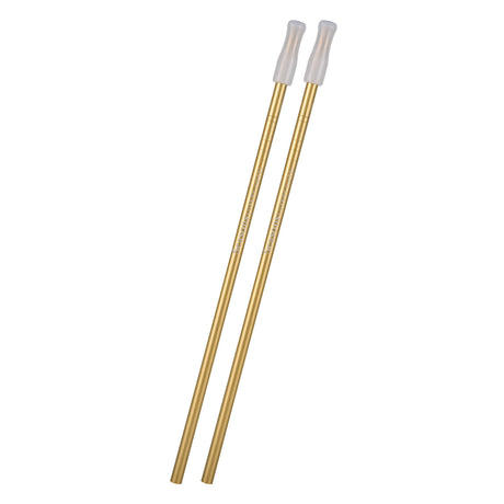 2- Pack Park Avenue Stainless Straw Kit With Cotton Pouch