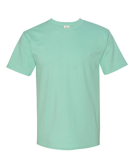 Hanes Authentic T-Shirt